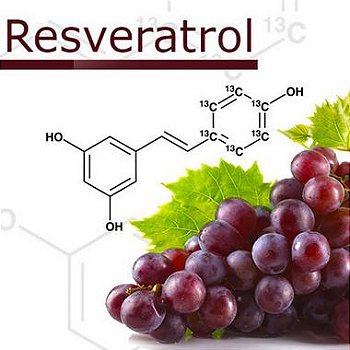 Resveratrol 500mg Saúde do Coração e Mental - 90 Cápsulas