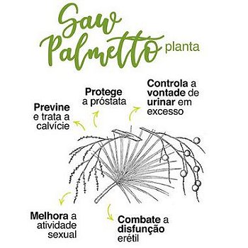 Saw Palmeto 570mg Saúde da Prostata e Capilar - 120 Cápsulas