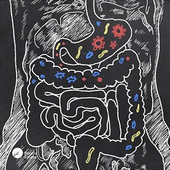 Simbiótico ( combinação de probiótico com prebiótico ) + Glutamina : Pool com 5 cepas de Lactobacillus 5 Bilhões UFC - Disbiose moderada - 60 Sachês