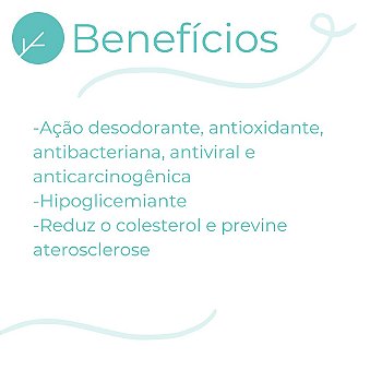 Champorus 250mg - Inibidor Odores Corporais, das Fezes e do Mau Hálito - 120 Cápsulas
