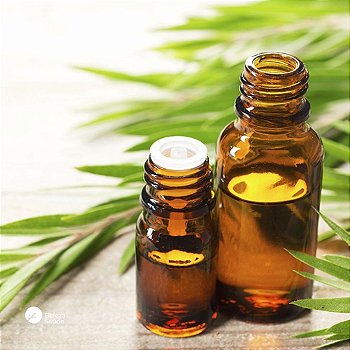 Óleo Essencial de Alecrim : Concentrado 100% Puro para Diluição - Frasco 100ml