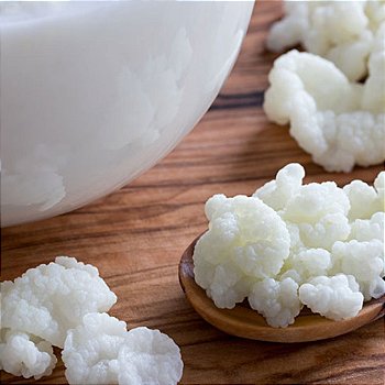 Kefir 5 Bilhões : Liofilizado 30 Cápsulas