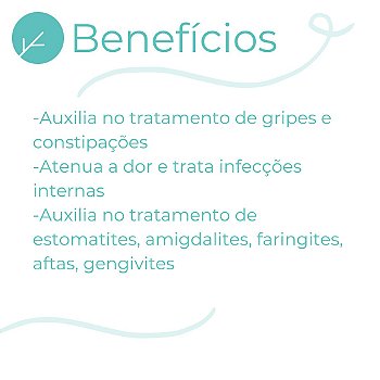 Tintura Equinácea Própolis Alcaçuz - Imunidade Alta : Kit 3 X 100ml