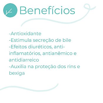 Abacateiro 400mg : 60 Cápsulas