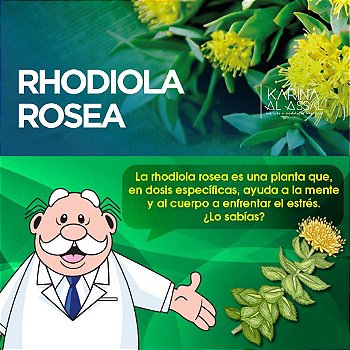 Rhodiola Rosea 500mg : Energia, Vitalidade, Anti Stress