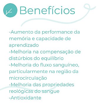 Ginkgo Biloba 120mg Saúde do Cérebro