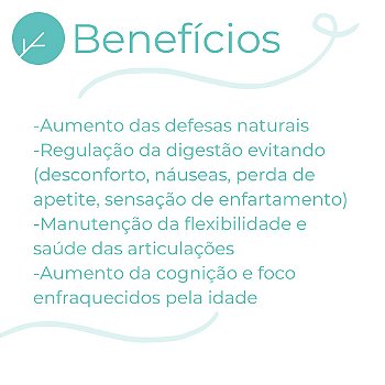 Curcuma 500mg + Piperina 15mg Saúde Física e Mental