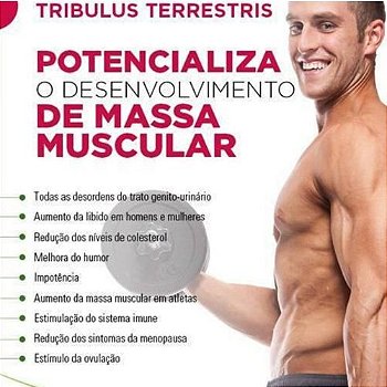 Tribulus Terrestris 500mg :  Força Muscular, Estimulante Sexual, Libido