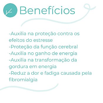 Acetil-L-Carnitina 500mg - Reduz a Fadiga