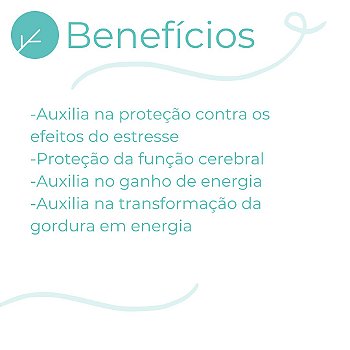 Acetil L Carnitina 250mg - Energia Física e Mental