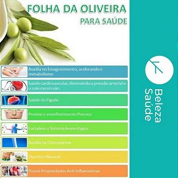 Extrato De Oliveira 750mg - Perda de Peso - 100 doses