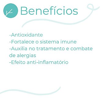 N Acetil L Cisteína + Quercetina + Resveratrol + Pinus Pinaster + Vitamina C 30 Doses
