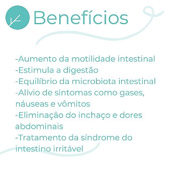 Biointestil 600mg - Saúde Digestiva - 30 doses