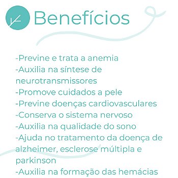 Ácido Fólico 5mg + Vitamina B12 1mg + B6 3mg - 60 doses
