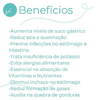 Sais Biliares 300mg + Betaína 350mg - Normalizador da digestão de lipídios (gordura) - 90 doses