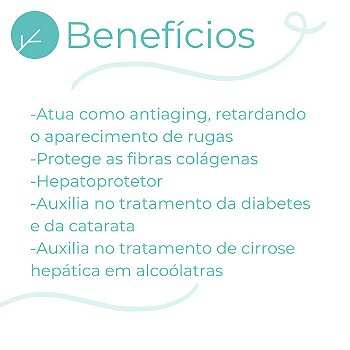 Ácido Alfa Lipóico 300mg - 260 doses