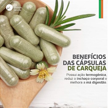 Carqueja 300mg : 120 Cápsulas