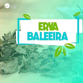 Erva Baleeira 250mg : 180 Cápsulas