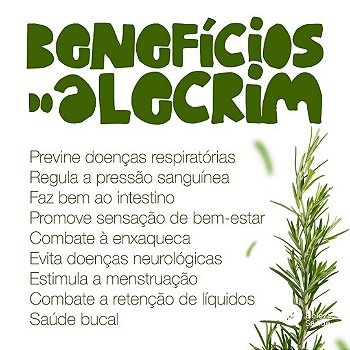 Alecrim 500mg : Extrato Seco 120 Cápsulas