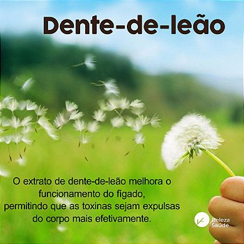 Dente De Leão 500mg : 60 Cápsulas