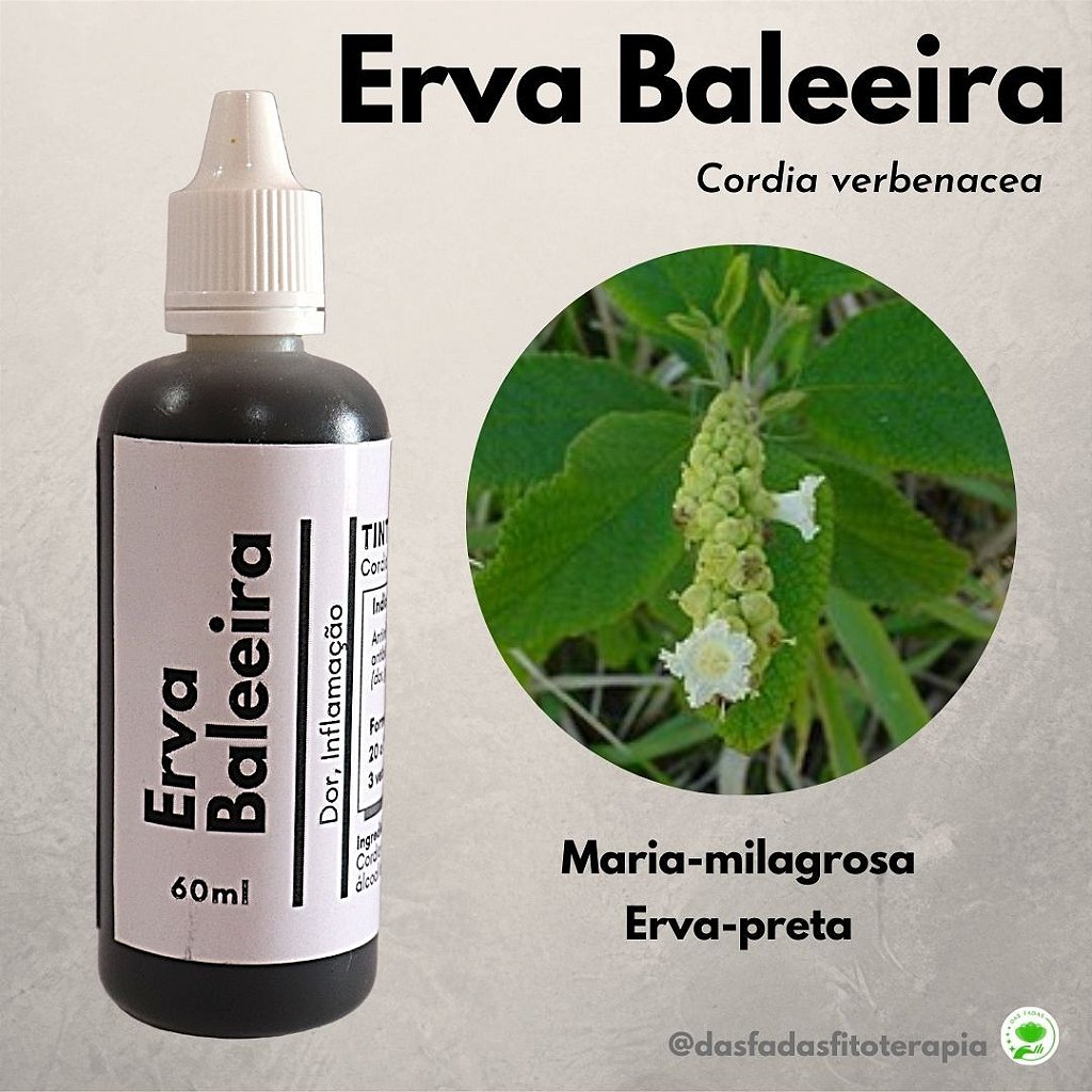 Concentrado de Erva Baleeira 60 ml Tintura Natural de Cordia