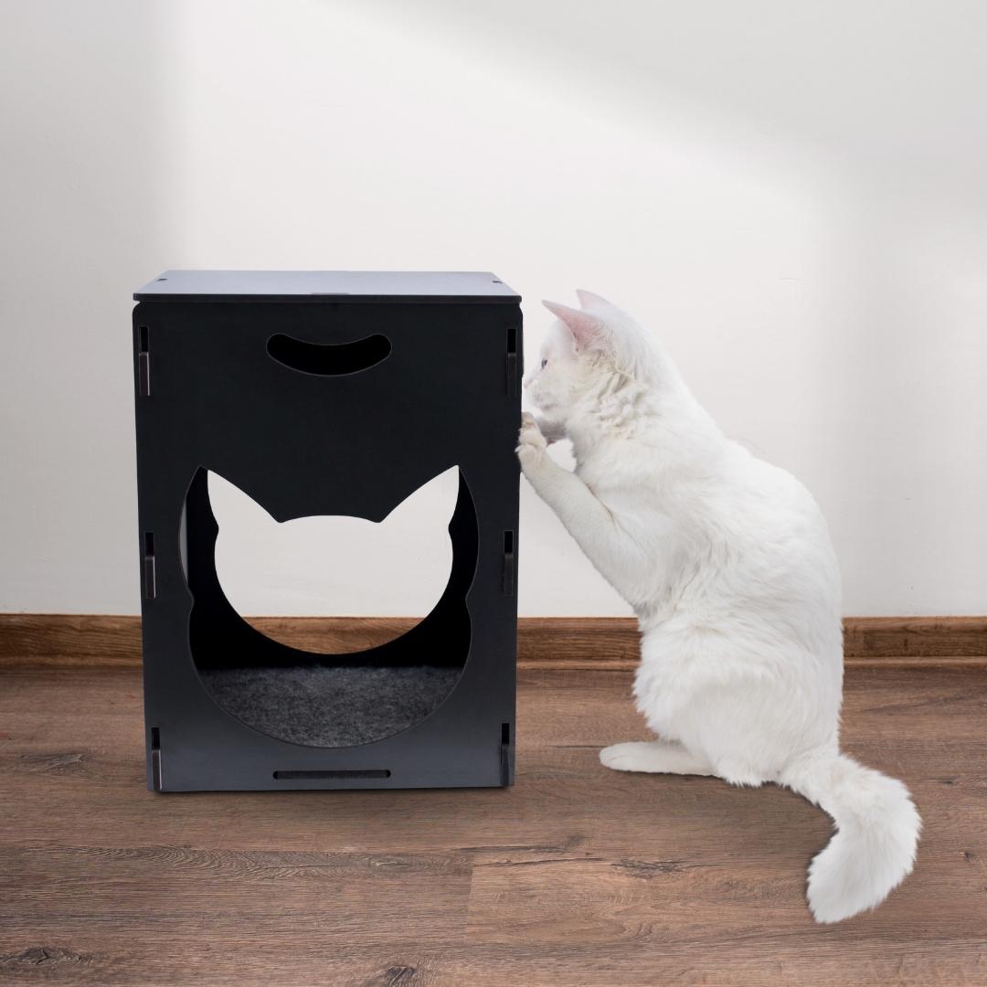 Comedouro Elevado para gatos