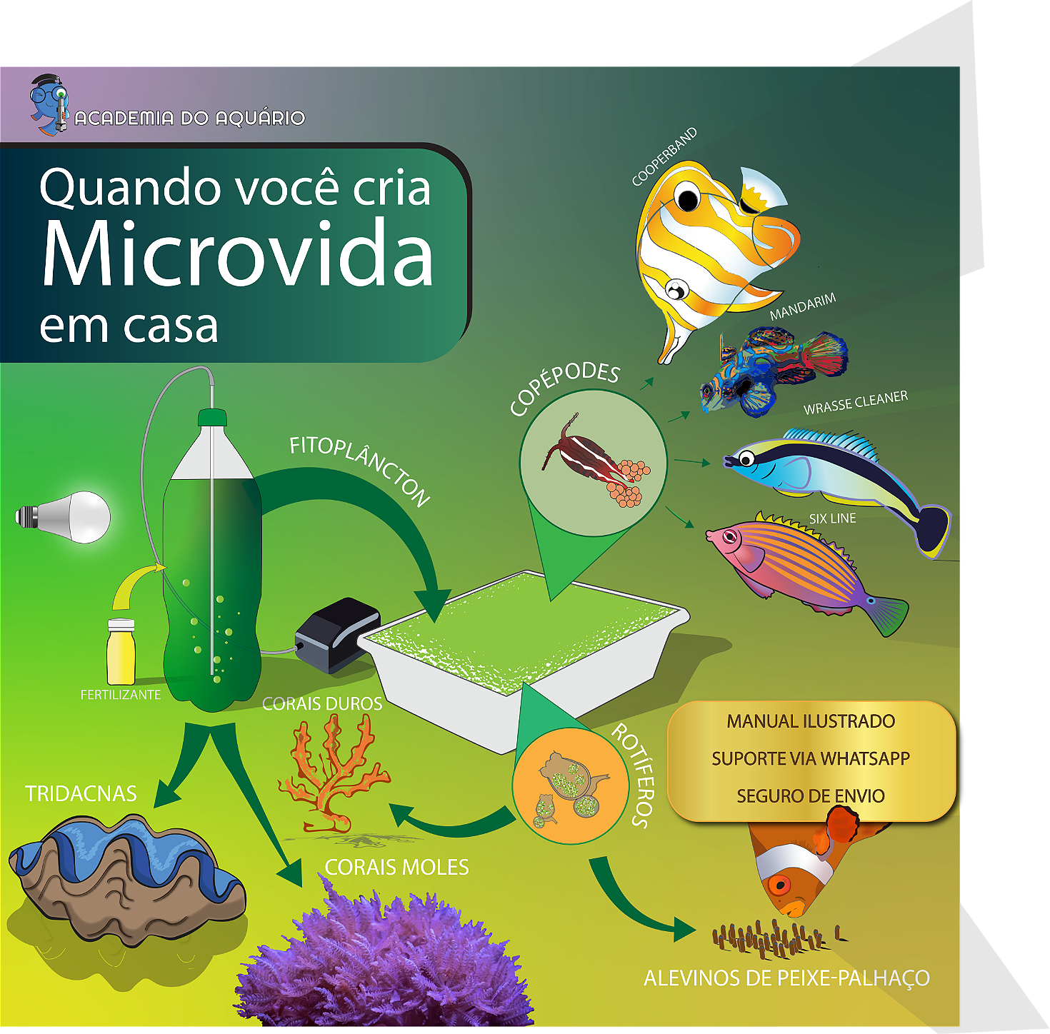 O que você sabe sobre o plâncton?