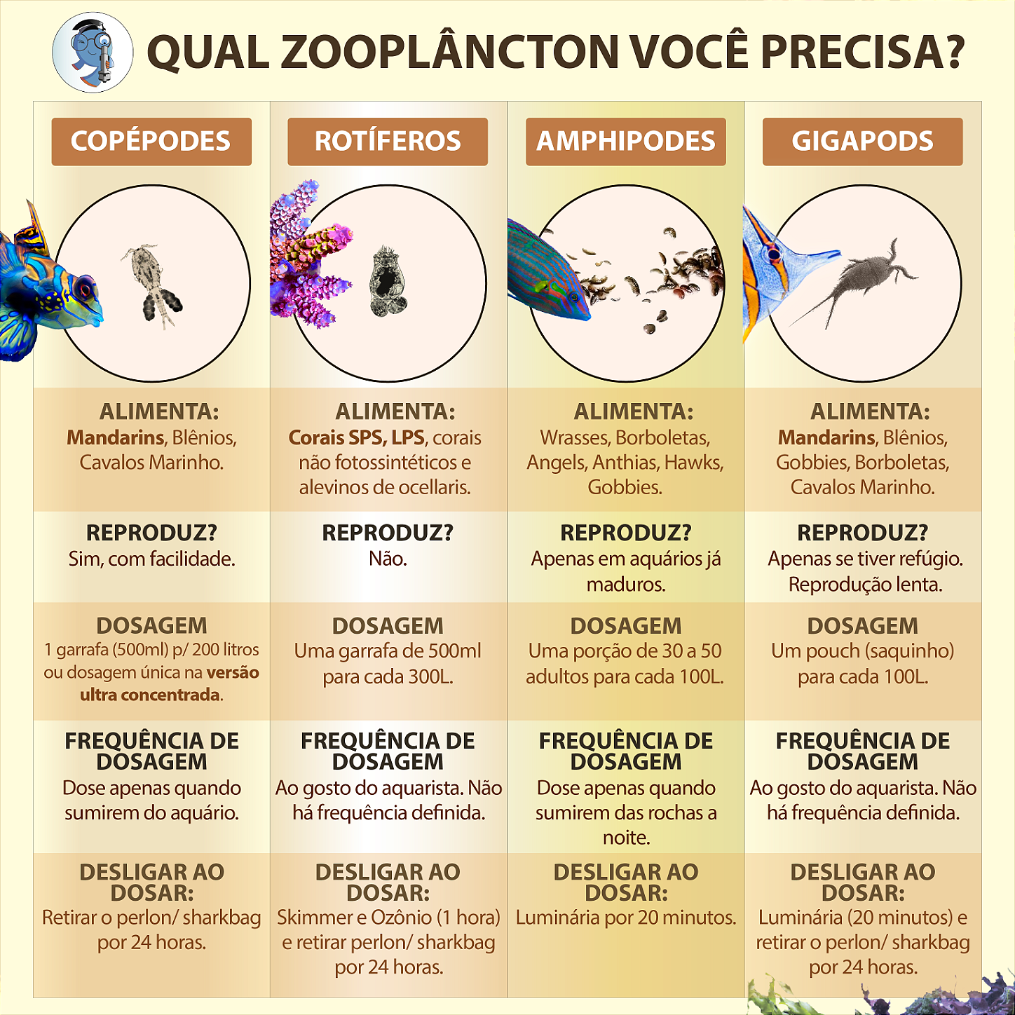 guia de microvida