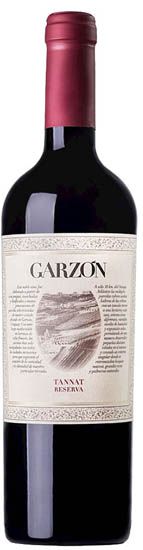 garzon tannat single vineyard 2021