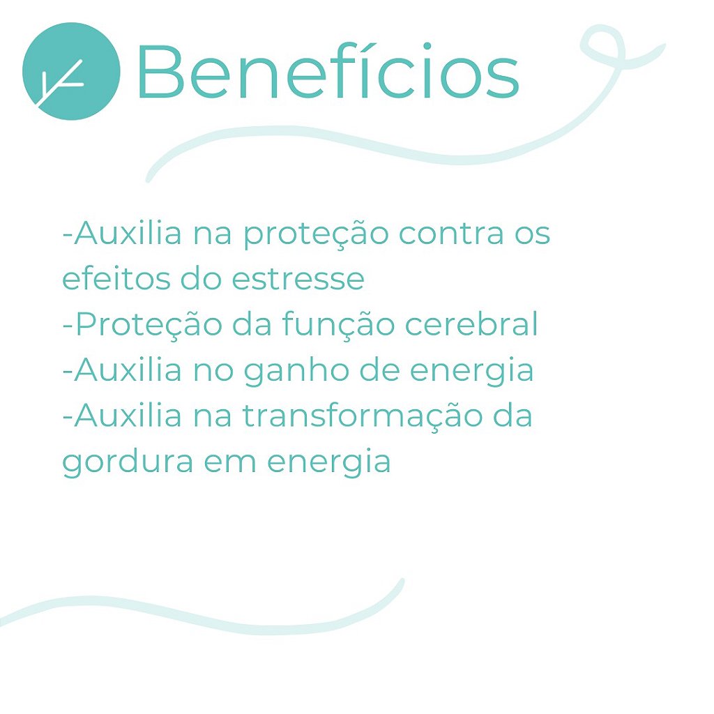 Acetil L Carnitina 250mg - Energia Fsica e Mental - 120 Cpsulas - Beleza  Sade Farmcia de Manipulao e Homeopatia