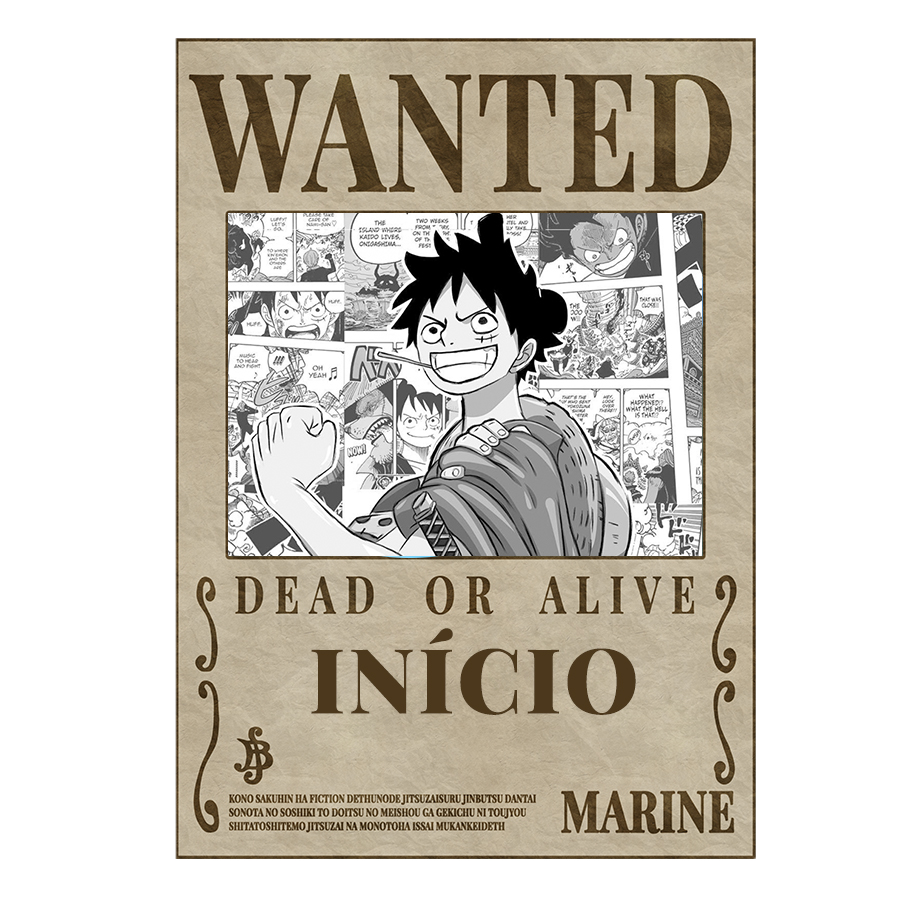 Quadro Decorativo Poster One Piece Anime Pirata