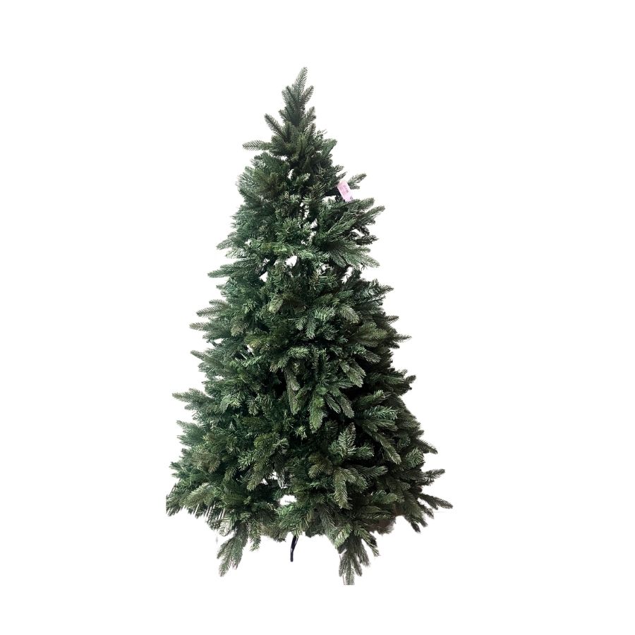 NATAL DESIGN ×COLONISTA OMAN10 AOIT！VER NATAL DESIGN ×COLONISTA