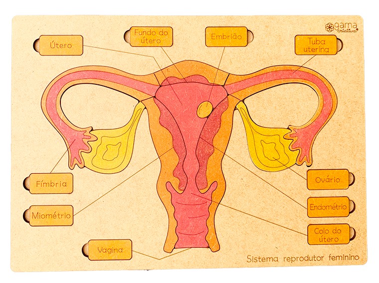 Outros quebra-cabeças  Feminina Outros quebra-cabeças Online