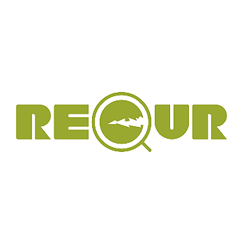 Recur