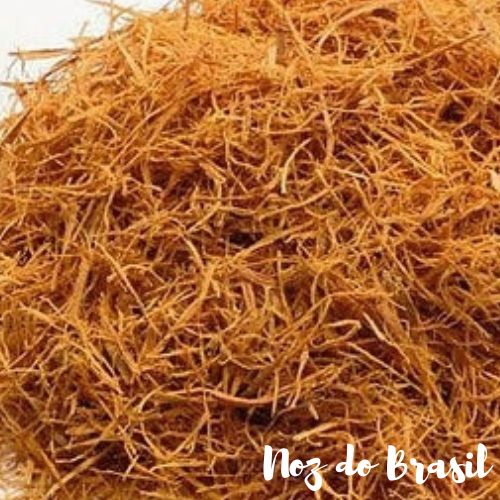 Unha de Gato Rasurado - Noz do Brasil | Comprar Castanhas Online