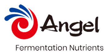 Angel Yeast