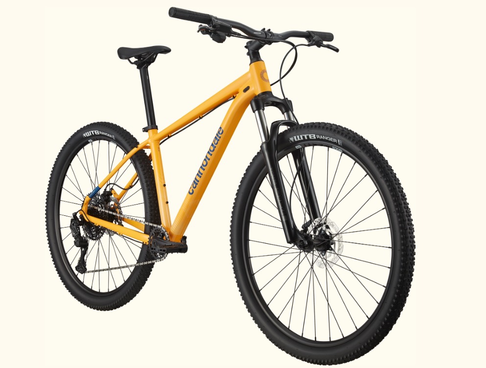 CANNONDALE TRAIL 5 SUB TMD R29 V10 AMA C22 - Fat Bike Floripa