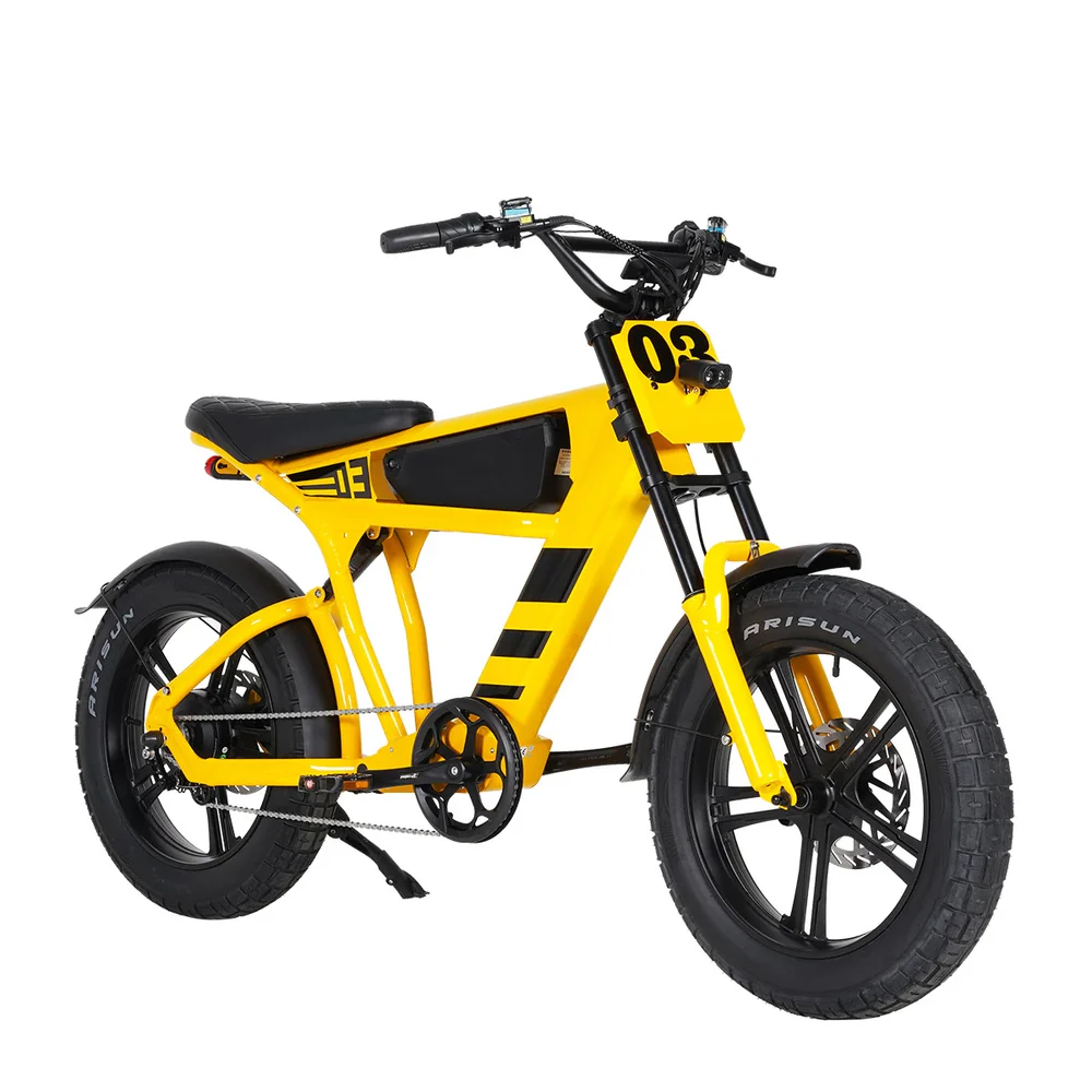 Bicicleta Elétrica FT-03 1000w - Fat Bike Floripa | Loja de