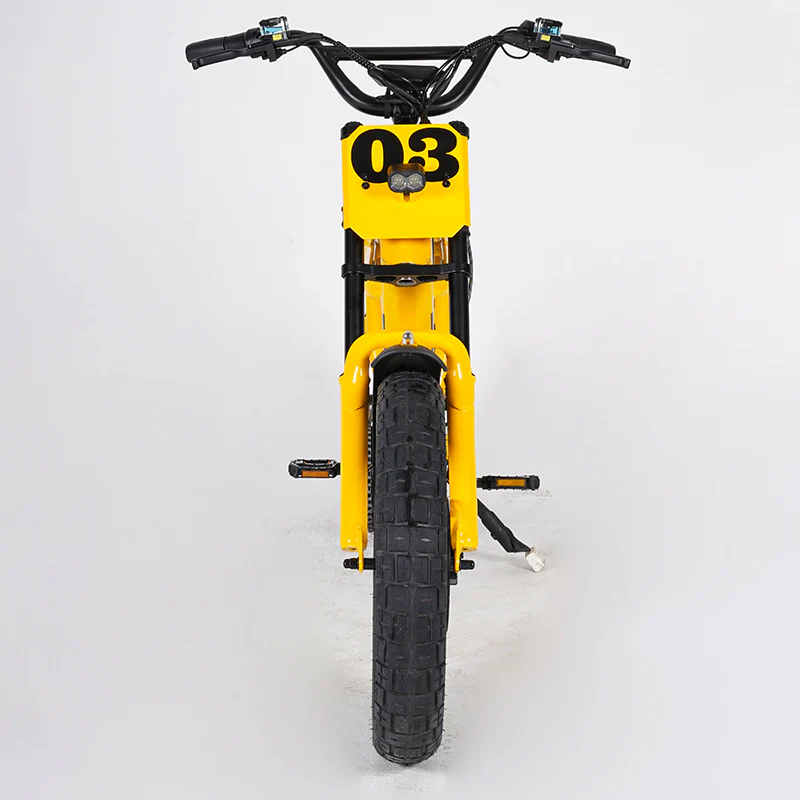 Bicicleta Elétrica FT-03 1000w - Fat Bike Floripa | Loja de