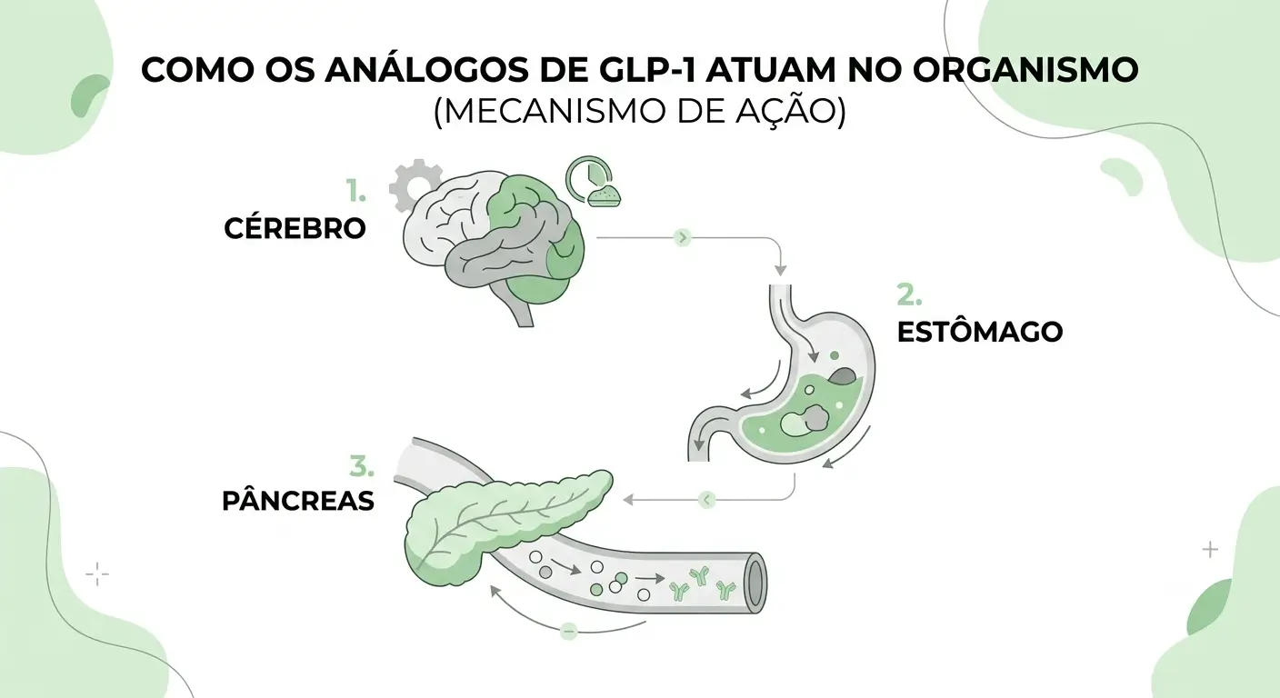 Infográfico explicativo sobre os mecanismos de ação do hormônio GLP-1 no cérebro, pâncreas e estômago