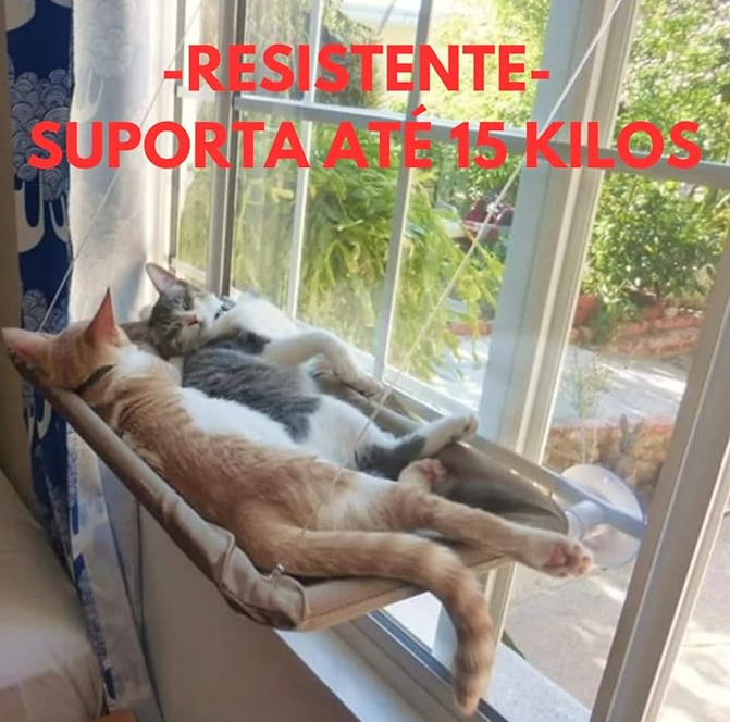 CAMA SUSPENSA PARA GATOS COM VENTOSA - C3B