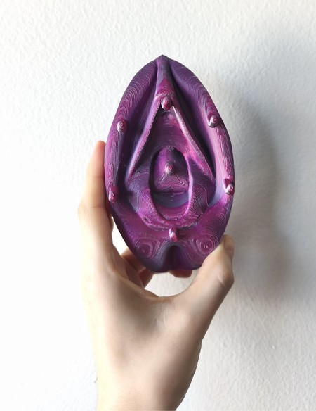 Suporte de Chaves Vulvárias Vulva