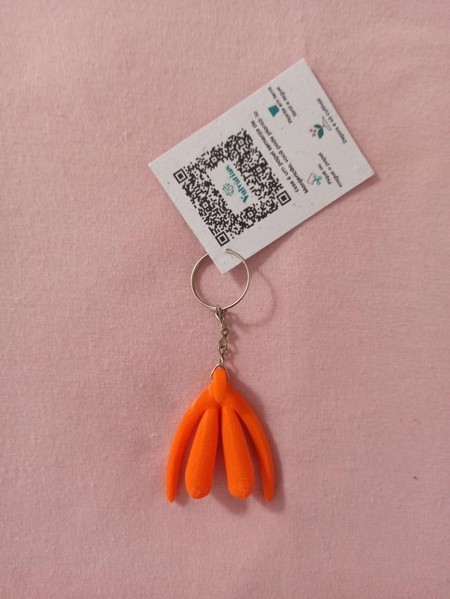 20 Chaveiros Clitóris 3D