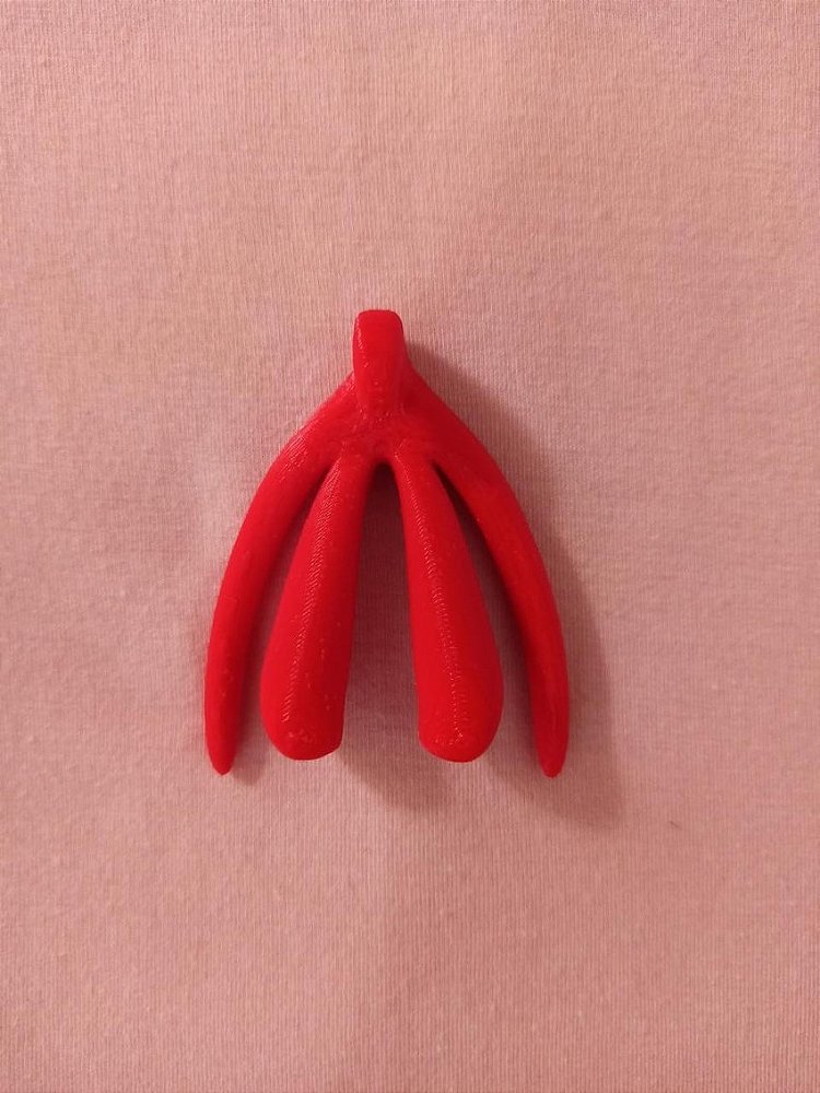 Clitóris Tamanho Real 3D - Modelo Anatômico Estrutura Interna