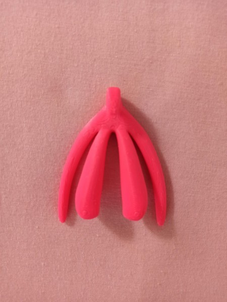 Clitóris Tamanho Real 3D - Modelo Anatômico Estrutura Interna