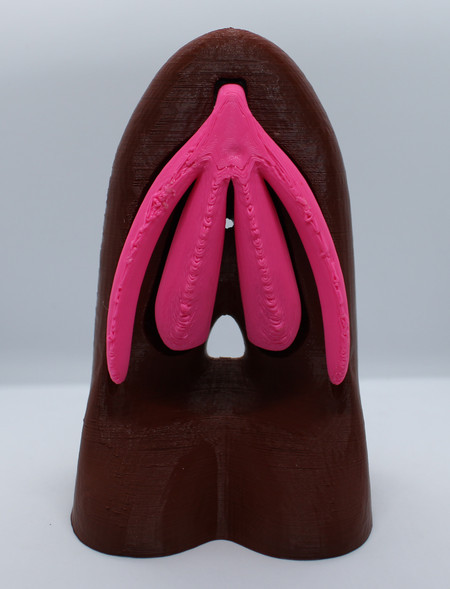 Vulva Educativa Grande Modelo Anatômico 3D