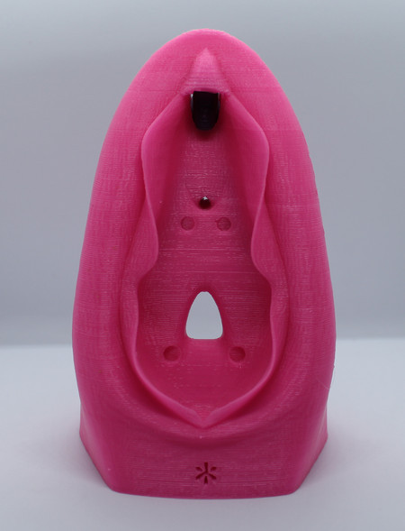 Vulva Educativa Grande Modelo Anatômico 3D