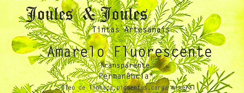 Kit Tinta a Óleo Fluorescentes | 4 Cores Joules & Joules