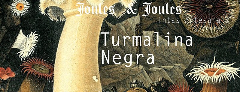 55.t. Tinta a Óleo TURMALINA NEGRA Joules & Joules