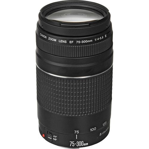 Lente Canon EF 75-300mm f/4-5.6 III. Garantia Canon Brasil